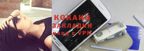 прущие грибы Вяземский