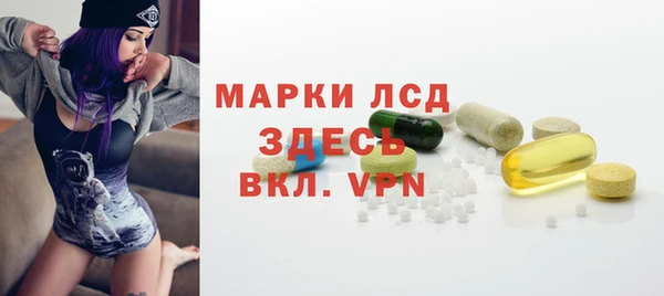 прущие грибы Вяземский