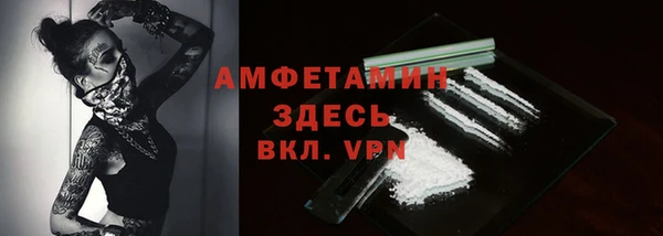 мдпв Горняк