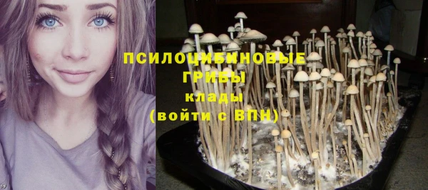 MDMA Горнозаводск