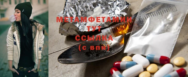 прущие грибы Вяземский