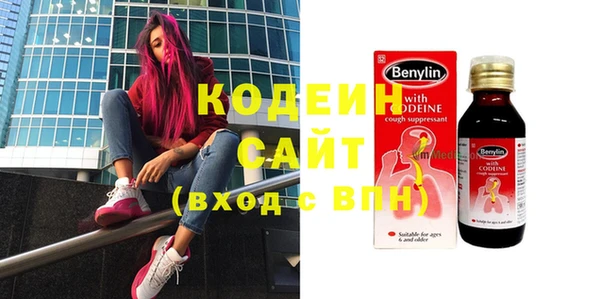 прущие грибы Вяземский